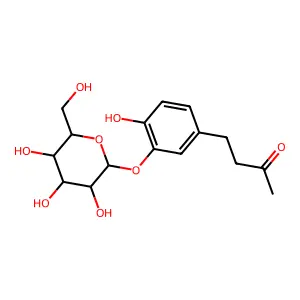 Myzodendrone structure