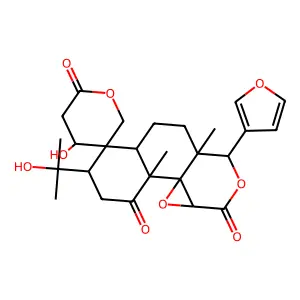 Ichangin structure