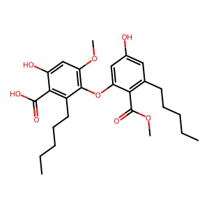 Epiphorellic acid 1 structure