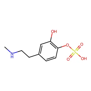 Epinine 4-O-sulfate structure