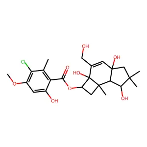 melleolide D structure