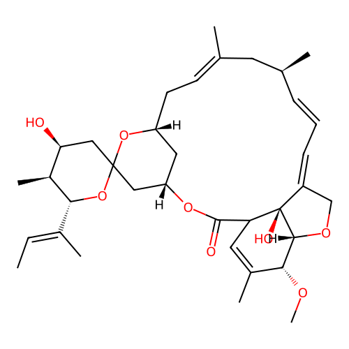 LL-F 28249gamma structure