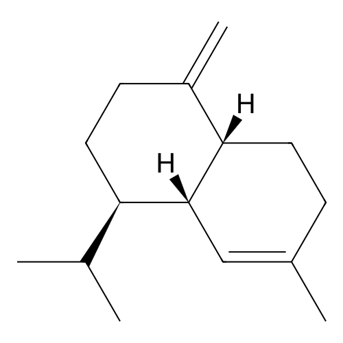 gamma-Muurolene structure
