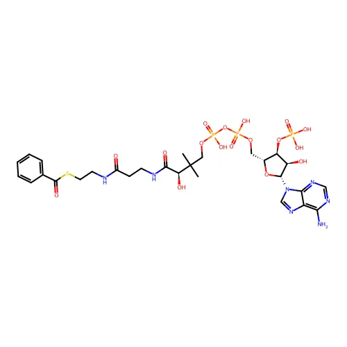 S-[2-[3-[[(2R)-4-[[(2R,3S,4R,5R)-5-(6-氨基嘌呤-9-基)-4-羟基-3-磷氧代四氢呋喃-2-基]甲氧基-羟基磷酰基]氧代-羟基磷酰基]氧代-2-羟基-3,3-二甲基丁酰]氨基]丙酰氨基]乙基] 苯甲酰氧基硫酸酯 structure