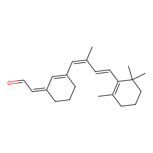 Retinal 6.11 structure