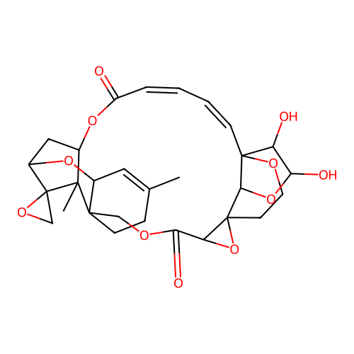 Roritoxin B structure