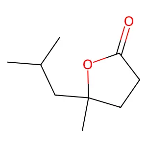 2(3H)-Furanone, dihydro-5-methyl-5-(2-methylpropyl)- structure