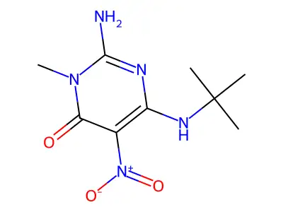 2-amino-6-((1,1-dimethylethyl)amino)-5-(nitro)-3-methylpyrimidin-4(3H)-one structure