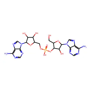 Adenylyl-(3'5')-adenosine structure