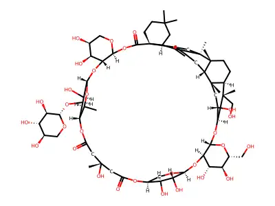 Triterpenoid saponin tub structure