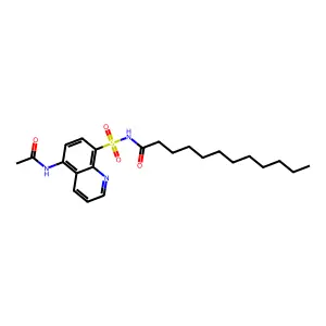 N-(5-乙酰胺基-8-喹啉磺酰基)十二酰胺 structure