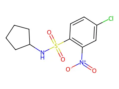 ((4-Chloro-2-nitrophenyl)sulfonyl)cyclopentylamine structure