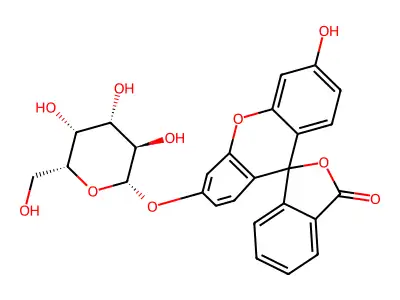 Fluorescein monogalactoside structure