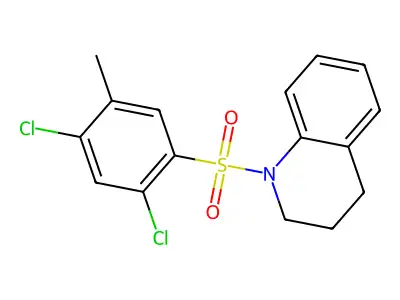 1-(2,4-Dichloro-5-methylbenzenesulfonyl)-1,2,3,4-tetrahydroquinoline structure