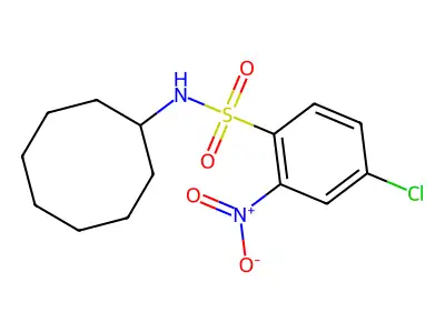 ((4-Chloro-2-nitrophenyl)sulfonyl)cyclooctylamine structure