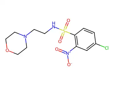 4-chloro-N-(2-morpholin-4-ylethyl)-2-nitrobenzenesulfonamide structure