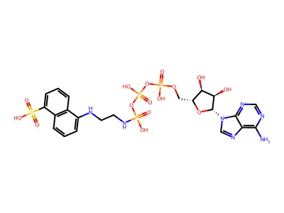 Adenosine-5'-triphosphoro-gamma-1-(5-sulfonic acid)naphthyl ethylamidate structure