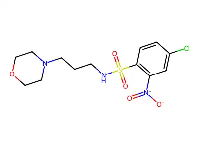 ((4-Chloro-2-nitrophenyl)sulfonyl)(3-morpholin-4-ylpropyl)amine structure