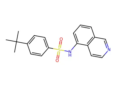 4-tert-Butyl-N-isoquinolin-5-yl-benzenesulfonamide structure