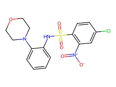 ((4-Chloro-2-nitrophenyl)sulfonyl)(2-morpholin-4-ylphenyl)amine structure