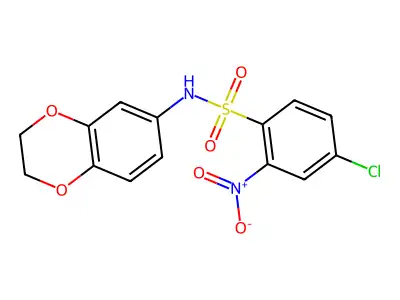 ((4-Chloro-2-nitrophenyl)sulfonyl)-4-oxachroman-6-ylamine structure
