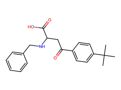 2-(Benzylamino)-4-(4-tert-butylphenyl)-4-oxobutanoic acid structure