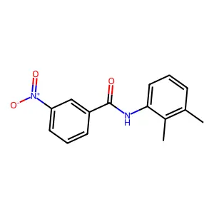 2',3'-Dimethyl-3-nitrobenzanilide structure