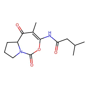 Cyclocarbamide A structure