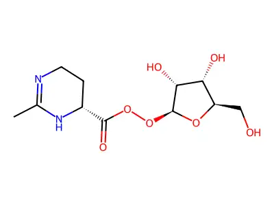 Rhizolotine structure