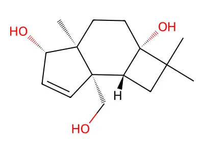 Punctatin A structure
