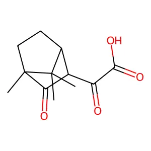 2-Oxo-2-{4,7,7-trimethyl-3-oxobicyclo[2.2.1]heptan-2-yl}acetic acid structure