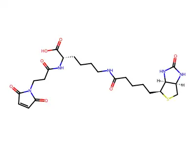 3-(N-Maleimidylpropionyl)biocytin structure