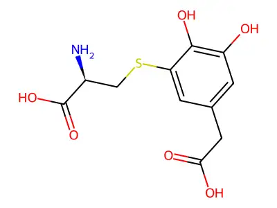 5-S-半胱氨酰-3,4-二羟基苯乙酸 structure