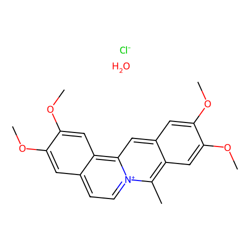 Coralyne chloride hydrate structure
