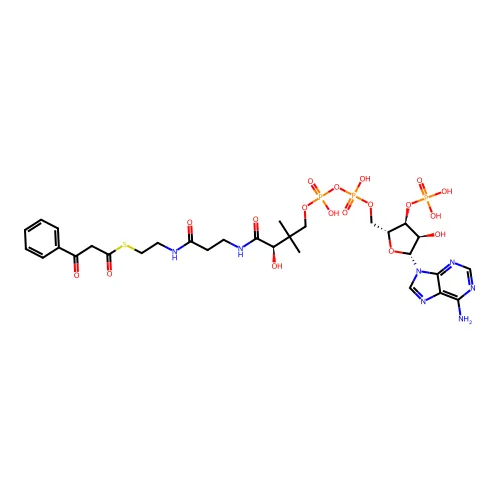 S-[2-[3-[[(2R)-4-[[(2R,3S,4R,5R)-5-(6-氨基嘌呤-9-基)-4-羟基-3-磷氧代四氢呋喃-2-基]甲氧基-羟基磷酰基]氧代-羟基磷酰基]氧代-2-羟基-3,3-二甲基丁酰]氨基]丙酰氨基]乙基] 3-氧代-3-苯基丙烷硫酸酯 structure