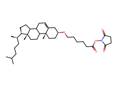 cholesteryl 5-carboxypentyl ether N-hydroxysuccinimide ester structure