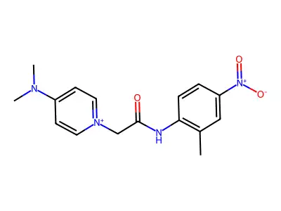 4-Dimethylamino-1-[(2-methyl-4-nitro-phenylcarbamoyl)-methyl]-pyridinium structure