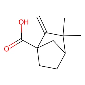 (1S,4S)-3,3-dimethyl-2-methylidenebicyclo[2.2.1]heptane-1-carboxylic acid structure