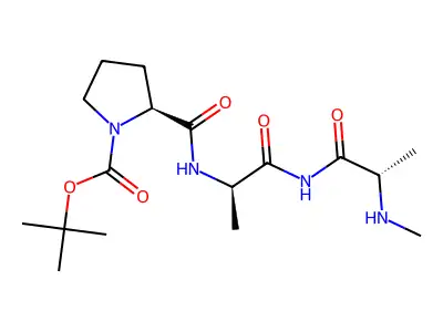 N-tert-Butyloxycarbonyl-prolyl-alanyl-alanyl-methylamide structure