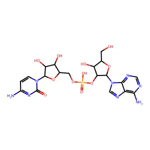 Cytidylyl(5'.2')adenosine structure