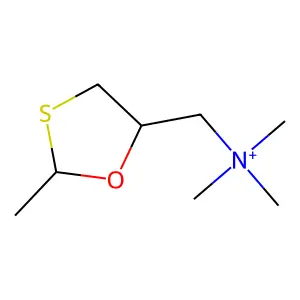OXA-22 structure