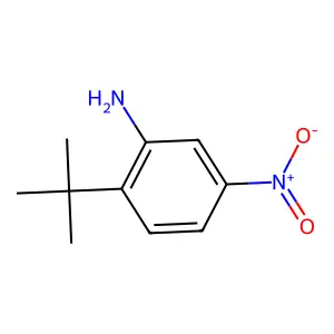 2-Tert-butyl-5-nitroaniline structure