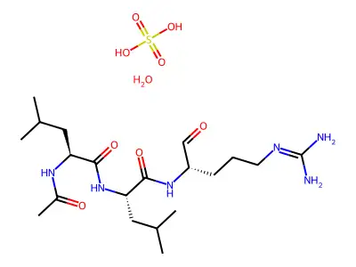 亮抑蛋白酶肽 structure