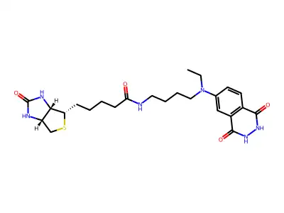 Aminobutylethylisoluminol-biotin structure