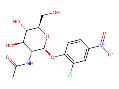 2-Chloro-4-nitrophenyl-N-acetylglucosaminide structure