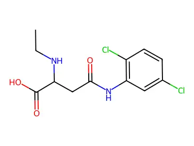 4-(2,5-Dichloroanilino)-2-(ethylamino)-4-oxobutanoic acid structure