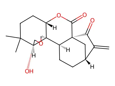 5-Methyl-4-oxazolidinone structure