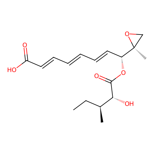 AF toxin IIc structure