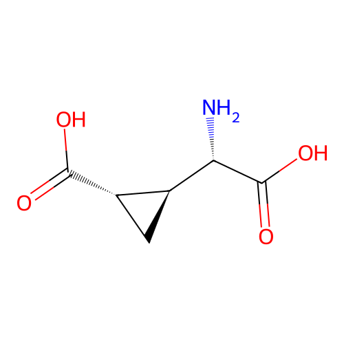 L-Ccg-I structure