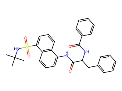 N-(5-{[(tert-butyl)amino]sulfonyl}naphthyl)-3-phenyl-2-(phenylcarbonylamino)pr opanamide structure